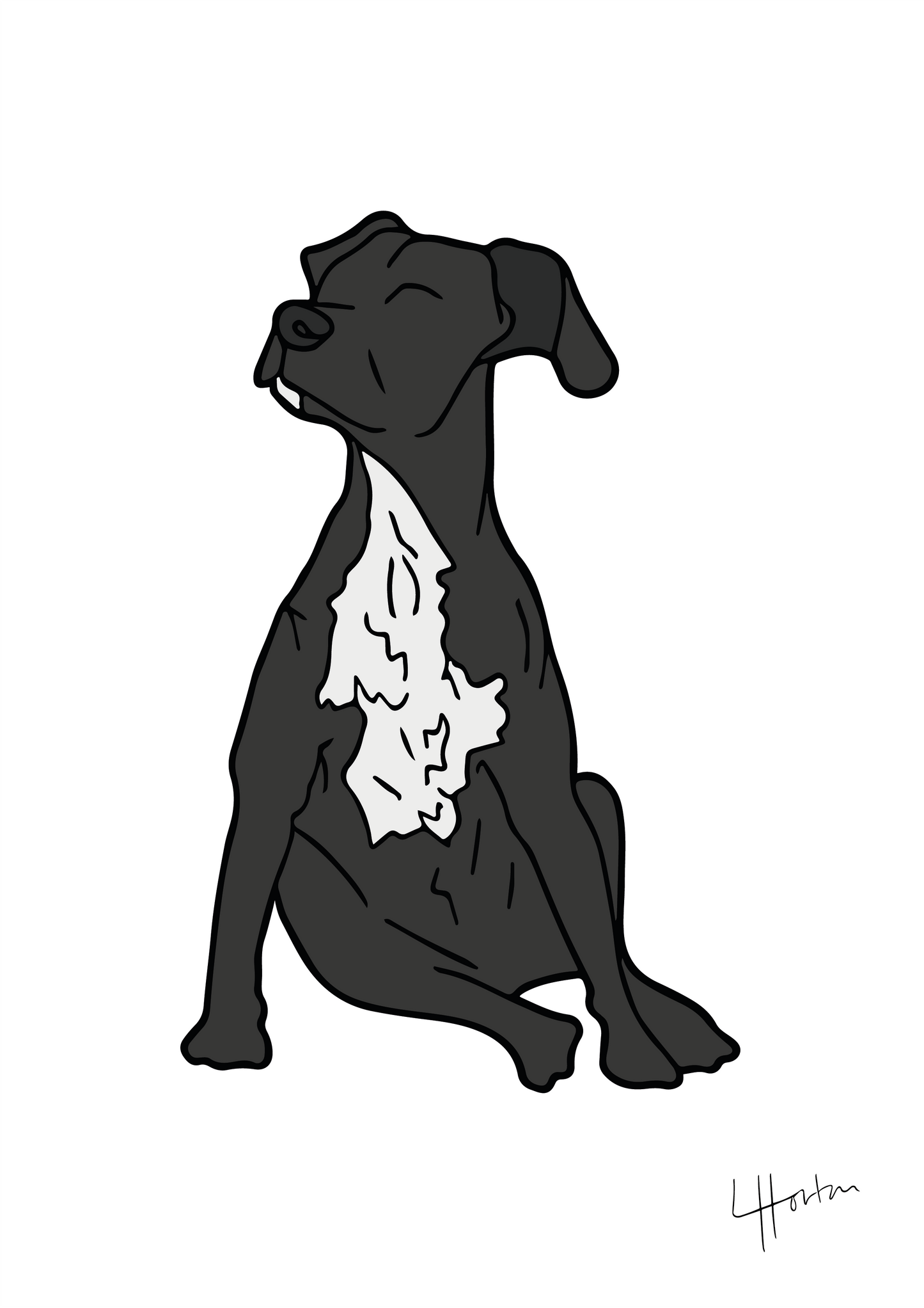 Pet Artwork