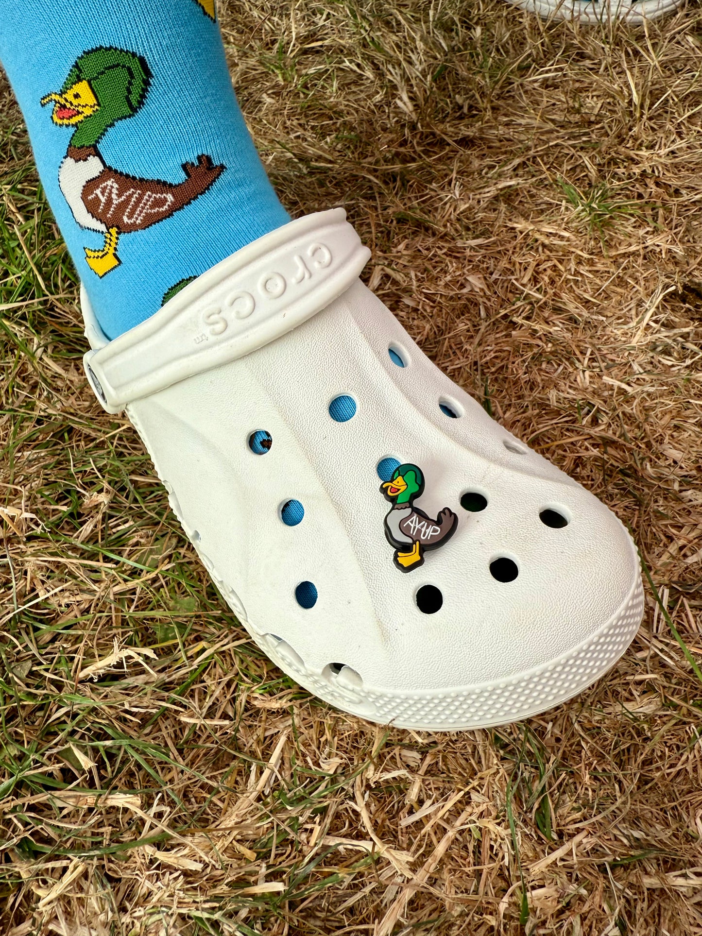 Ayup Duck - CROC Charm - LukeHorton Art