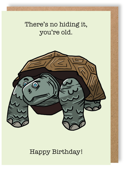 You're Old - Tortoise - Greetings Card - LukeHorton Art